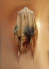 Deer leather, lacing original artwork shawl, ostrich feathers