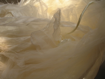 silk organza, freshwater pearls, silk cording