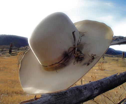 50 x beaver hand made hat